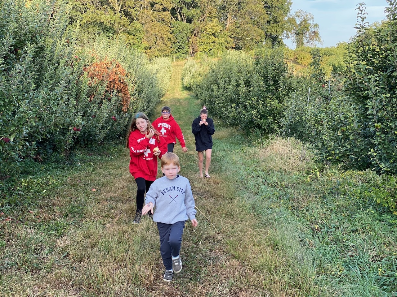 2019-09-27-apple-picking-2019-02 photo