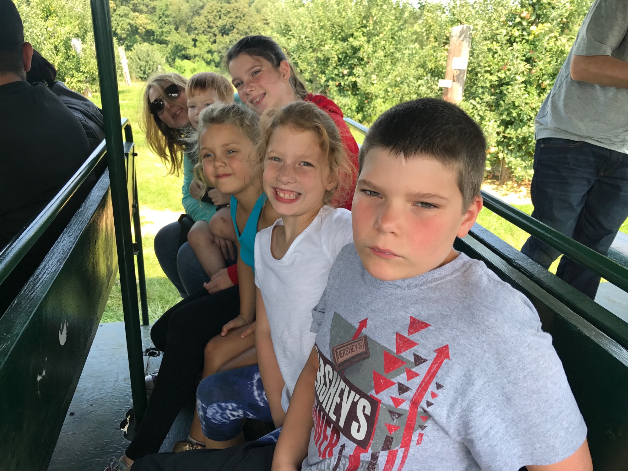 2017-09-10-apple-picking-01 photo