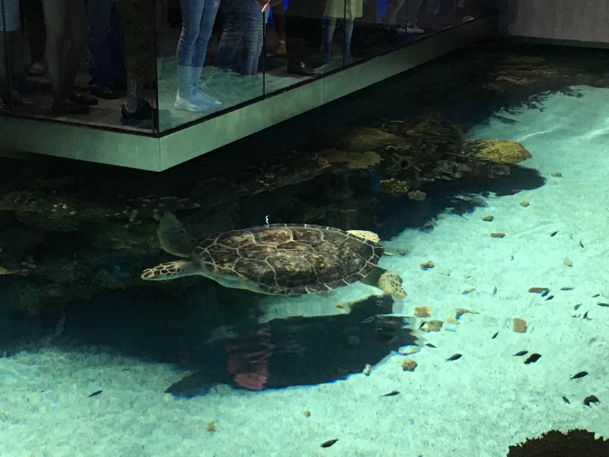 07-08-2016-baltimore-4 photo