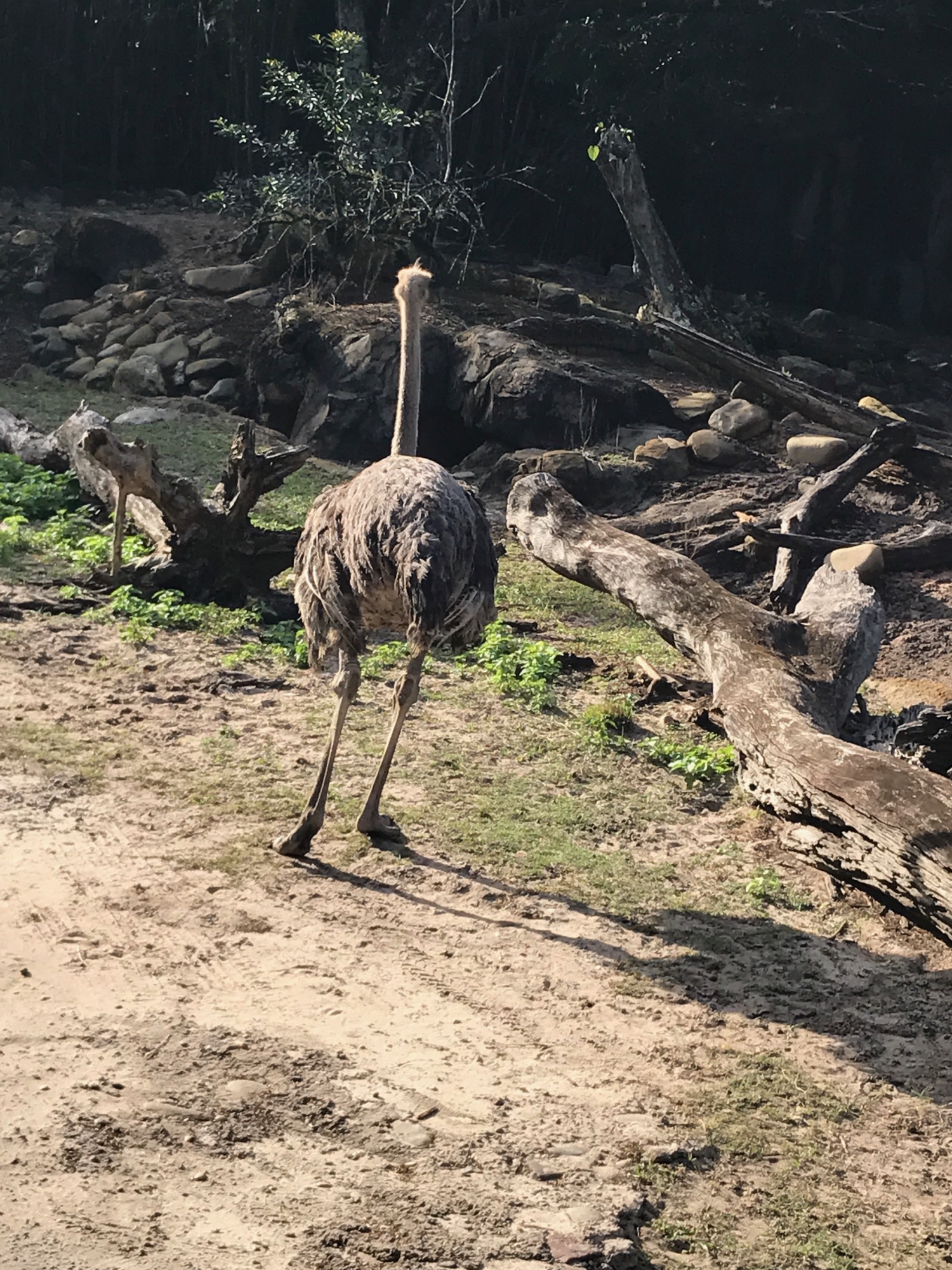 disney-trip-2016-100 photo