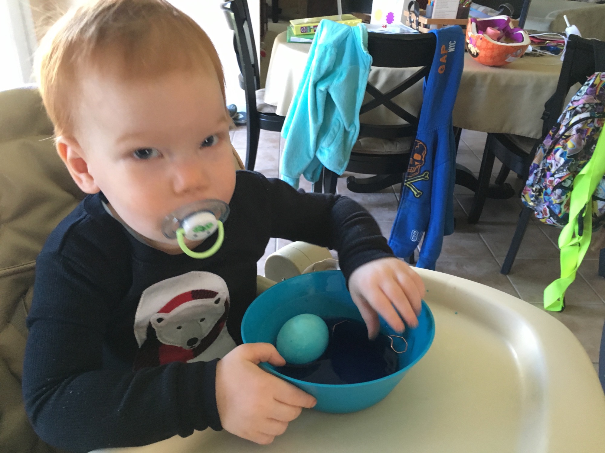 03-26-2016-eggs-2 photo