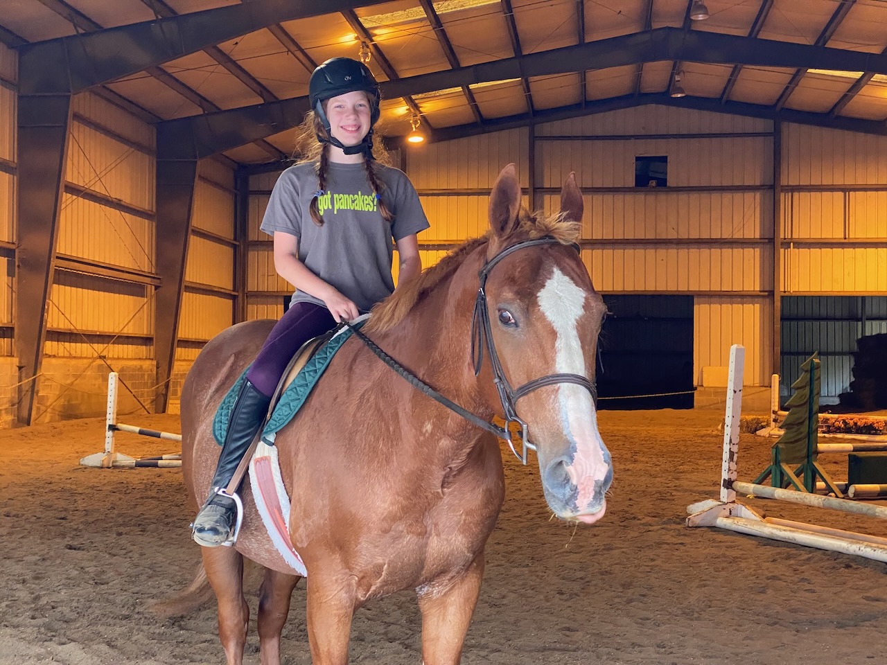 2020-07-14-meg-more-horses-02 photo