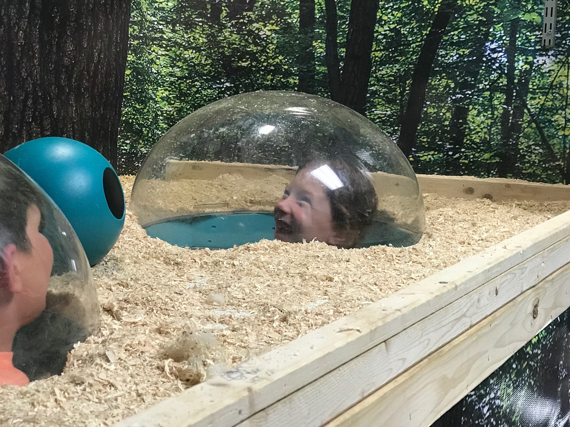 2017-06-25-ocean-city-11 photo