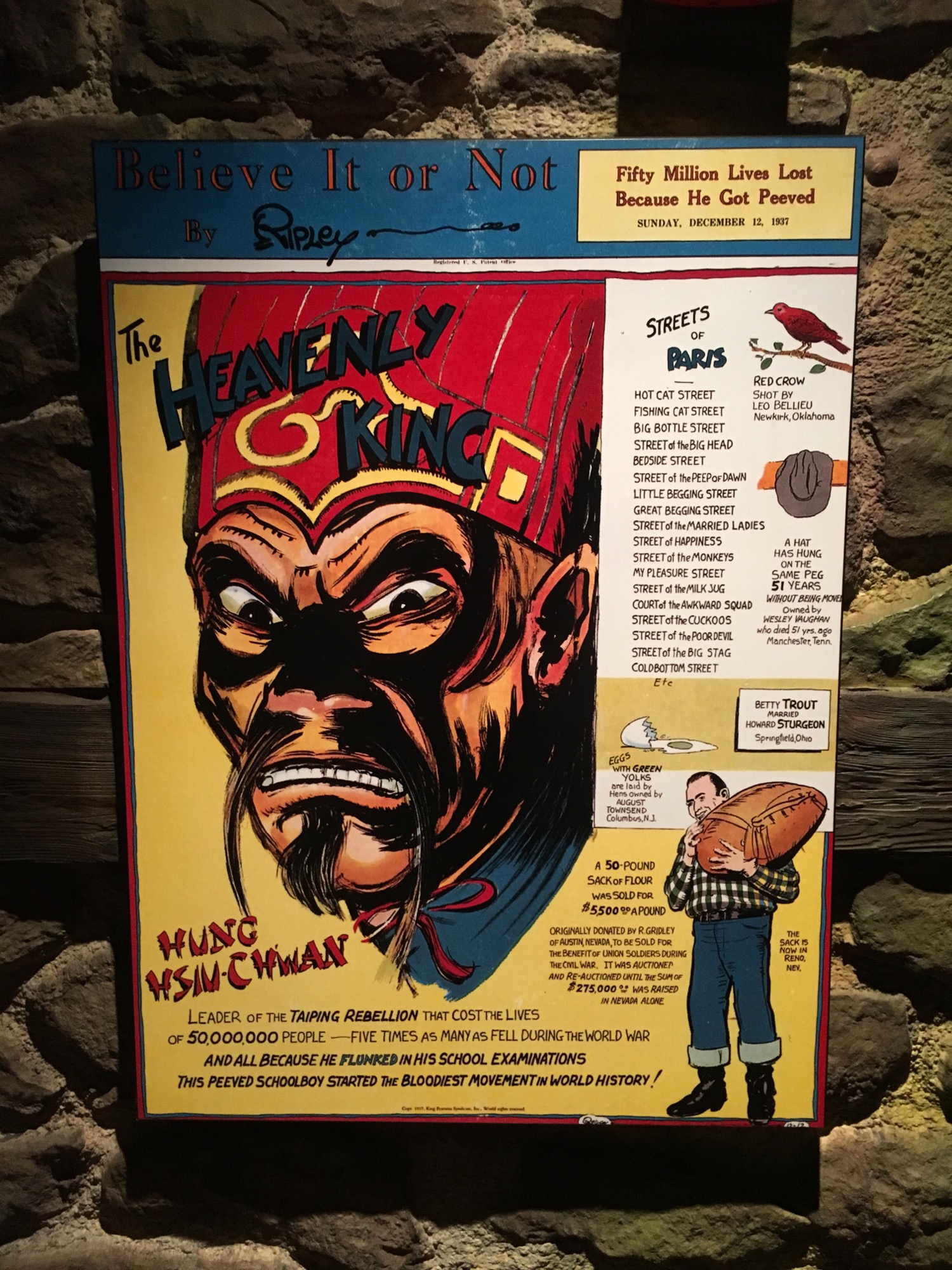 ocean-city-nj-2016-17 photo