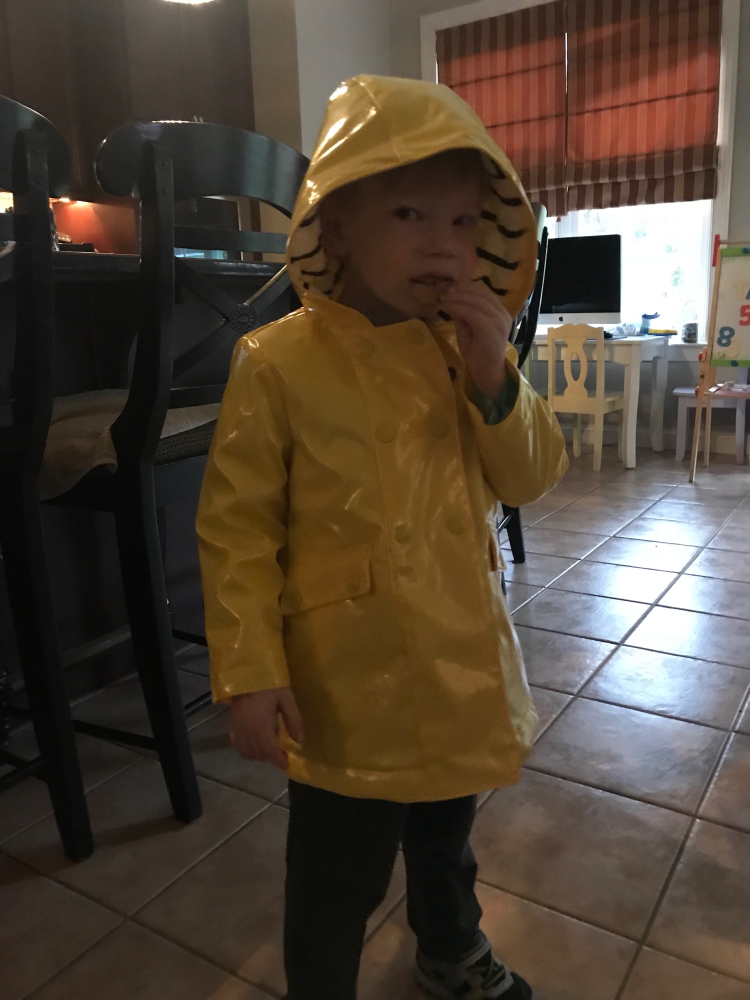 2017-10-29-raincoat-02 photo